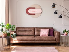 Poster above leather couch with pillows in white flat interior with plants and lamp. Real photo