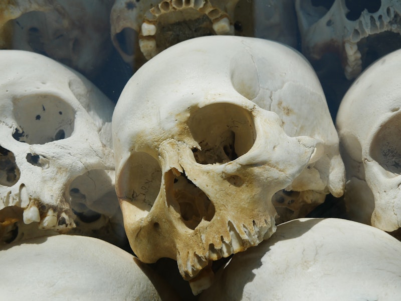 a human skulls in a pile
