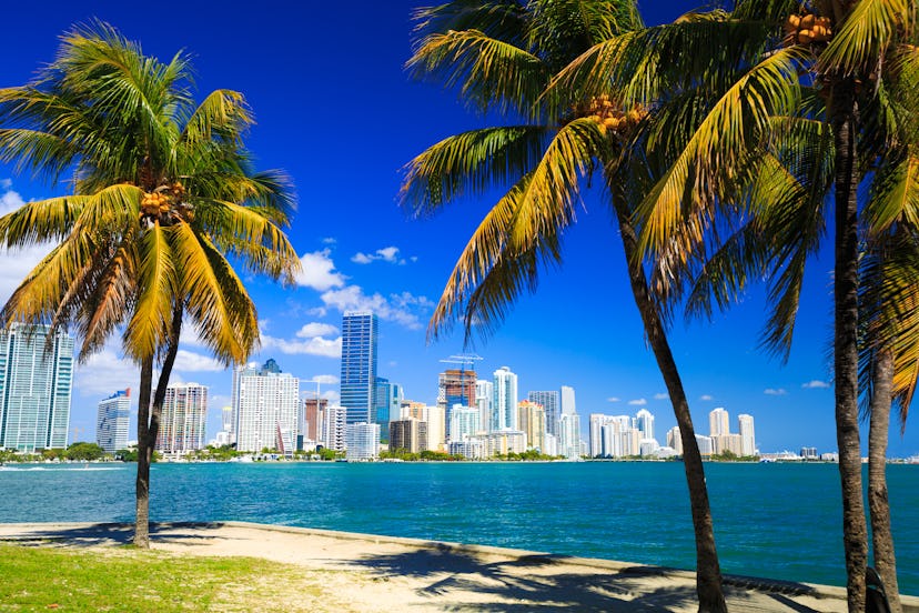 Skyline view of Miami Florida
