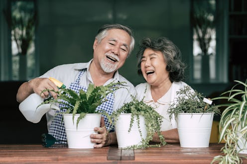 Elderly couples talking together and plant a trees in pots.