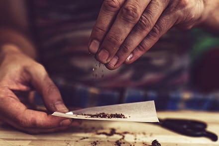 Preparing and Rolling Marijuana Cannabis Joint. Drugs Narcotic Concept. Close up.