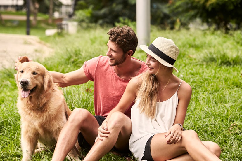 Young couple petting pooch in city park, brazil