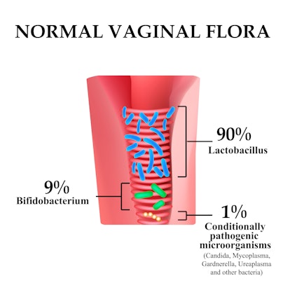 Normal microflora of the vagina. Normocenosis of the vagina. The ratio of lactobacilli, bifidobacter...