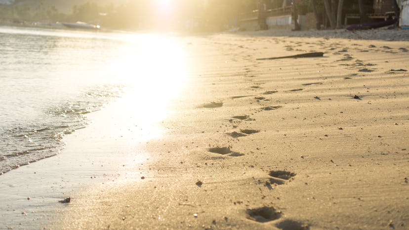 footprints on sunny beach