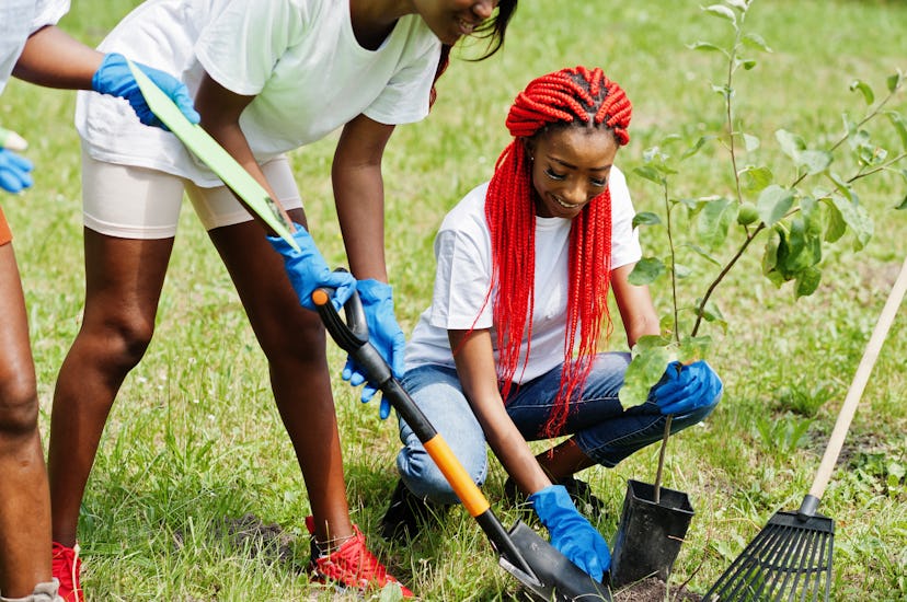 Group of happy african volunteers planting tree in park. Africa volunteering, charity, people and ec...