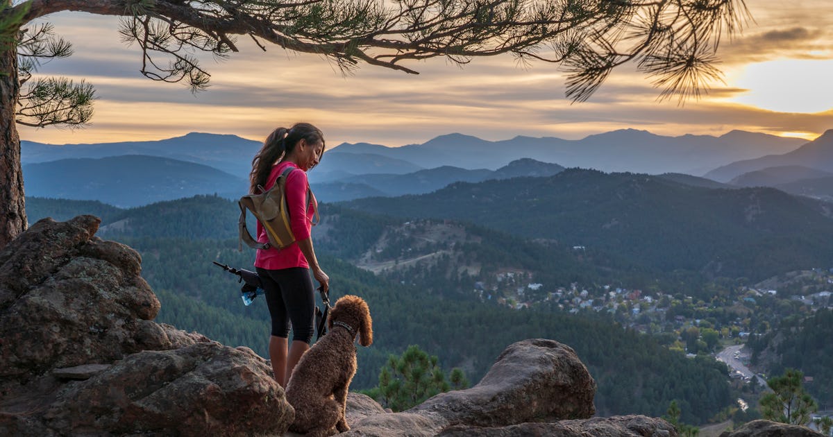 33 Captions For Hiking With Your Dog On The Most Pawfect Day 33 Captions For Hiking With Your Dog On The Most Pawfect Day