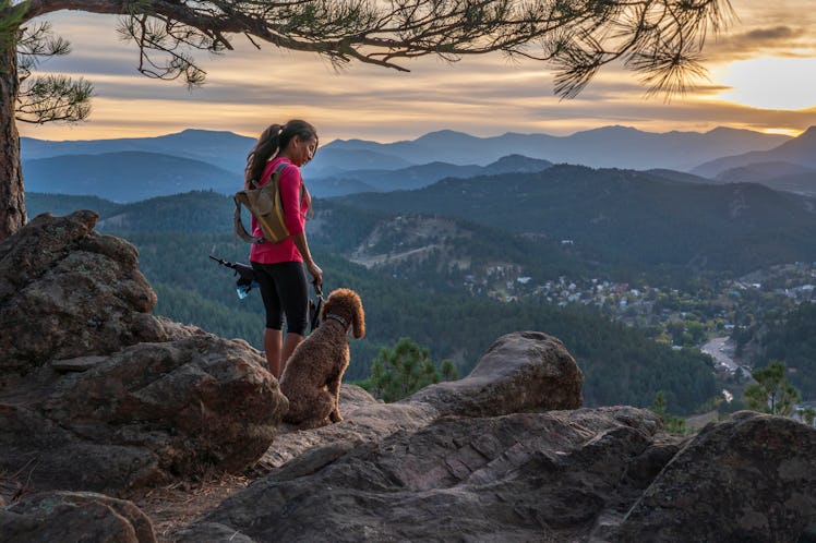 A hispanic woman is hiking with a dog, in the Rocky Mountains, of Colorado.