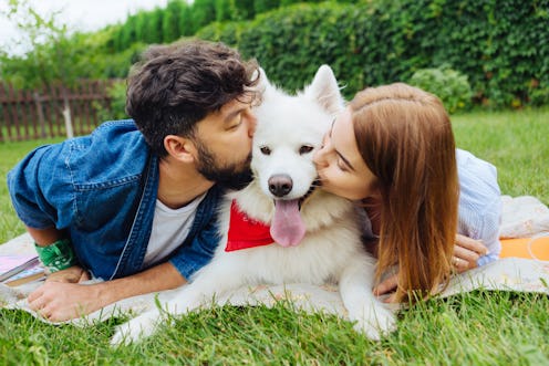 Kissing husky. Couple feeling cheerful while kissing their fluffy husband spending weekend in summer...