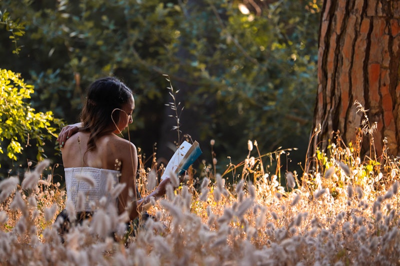 Girl Reading in the forest