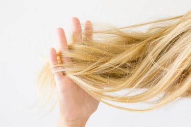 Woman's hand holding dry, blonde, tangled hair on the light gray background. Hair problem and soluti...