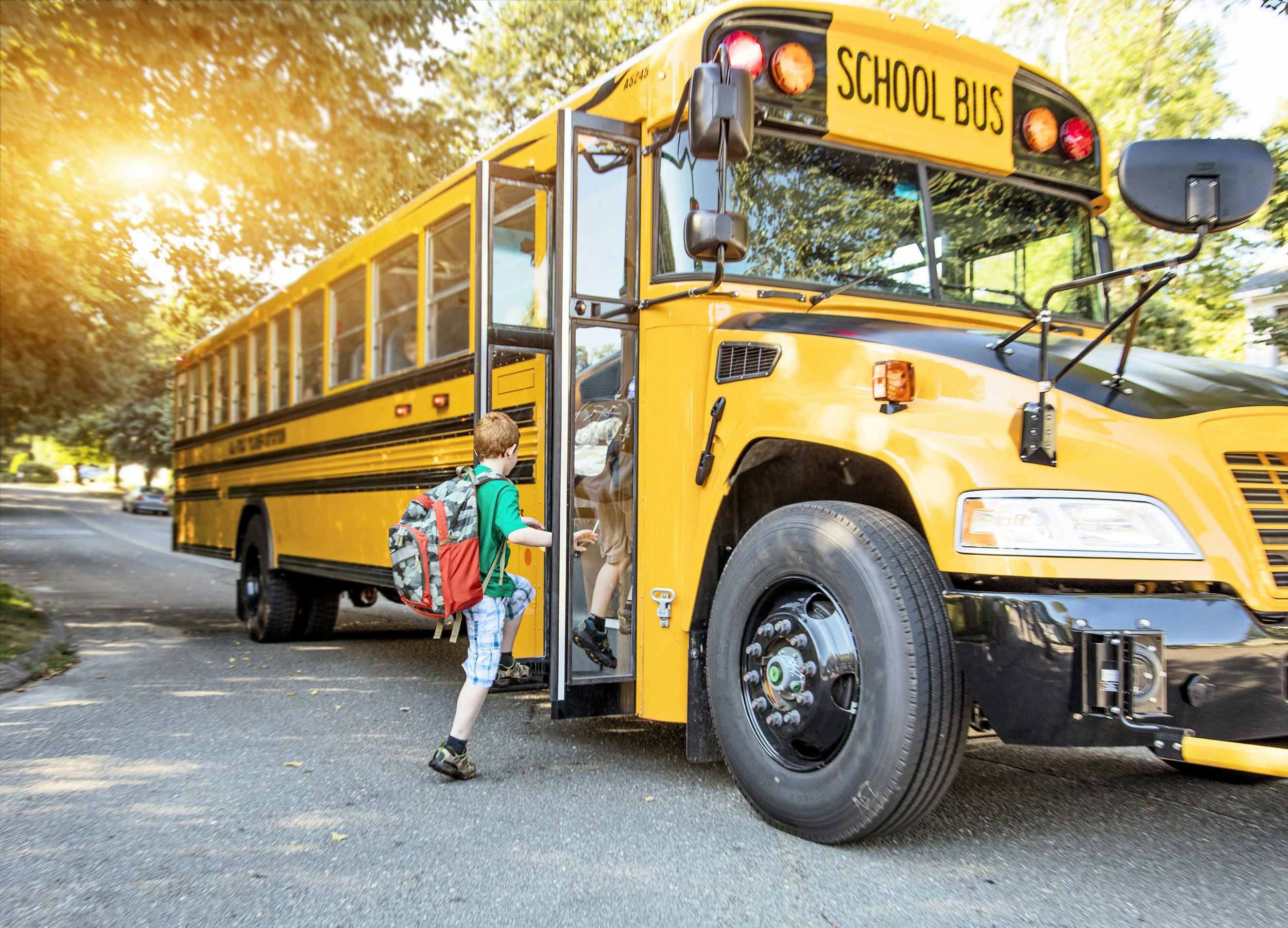 ride on bus for toddlers