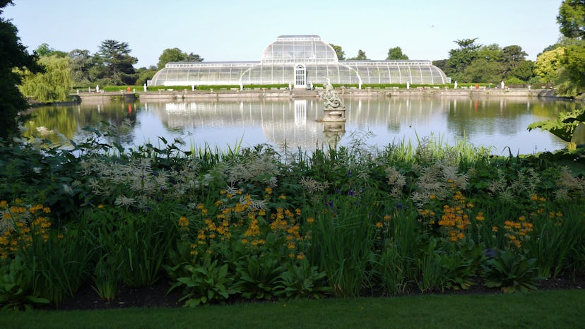 Kew Gardens Victorian Palm House In Summer