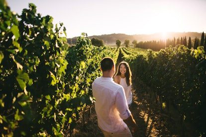 young couple kissing in a vineyard.