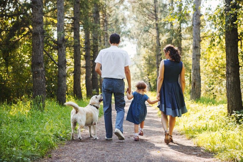 Happy family with dog walking in the Park