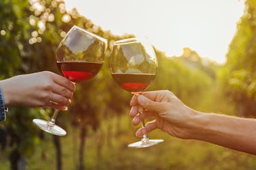 two glasses of cocktail making cheers. grapevine in Ticino