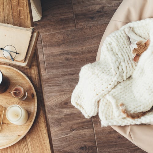 Ginger kitten sleeping on knitted woolen sweater. Wooden tray with home decor near the window. Fall ...