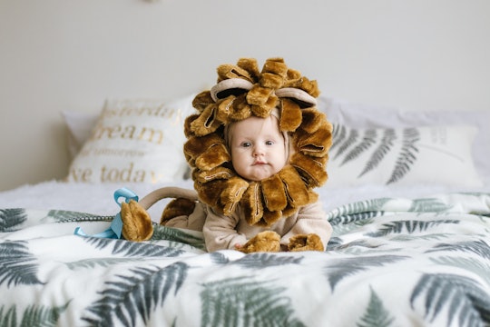 Handsome plump little child in a lion costume. A little boy in the costume of an animal.