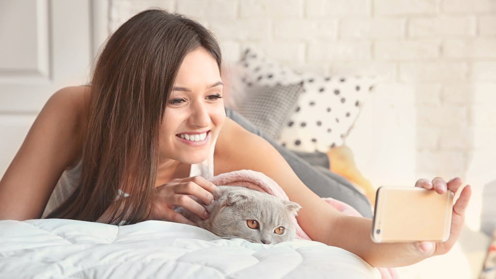 35 Captions For Your Cat S Instagram That Are Undeniably Purrfect 35 Captions For Your Cat S Instagram That Are Undeniably Purrfect