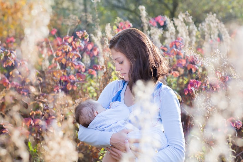 Young beautiful mother breastfeeding her baby in a meadow on a sunny day