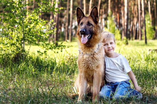 young boy relaxing and walking with German Shepherd in park