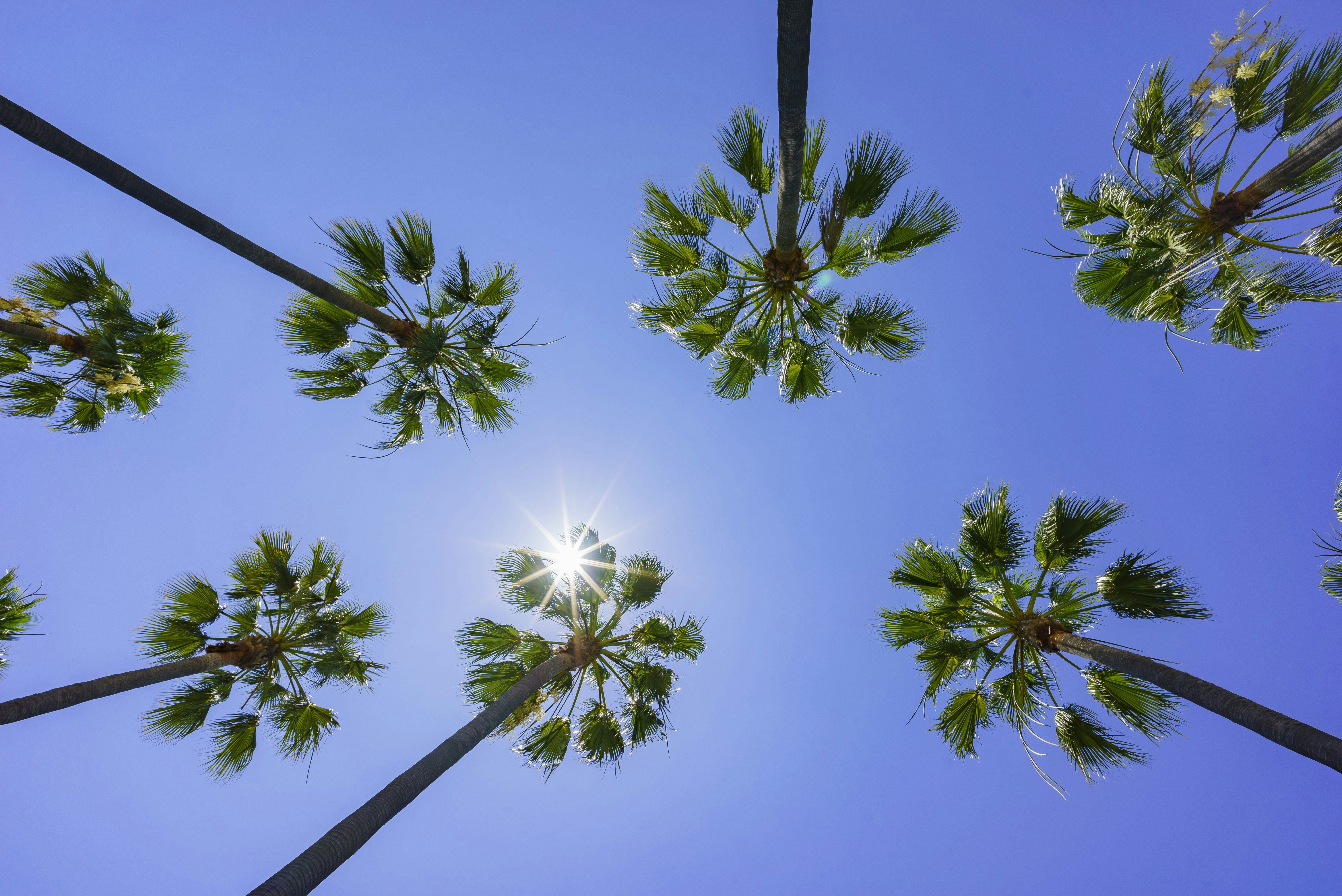 Beautiful scene around Rainbow Harbor, Long Beach, California, U.S.A.