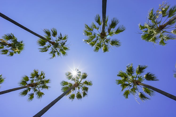 Beautiful scene around Rainbow Harbor, Long Beach, California, U.S.A.
