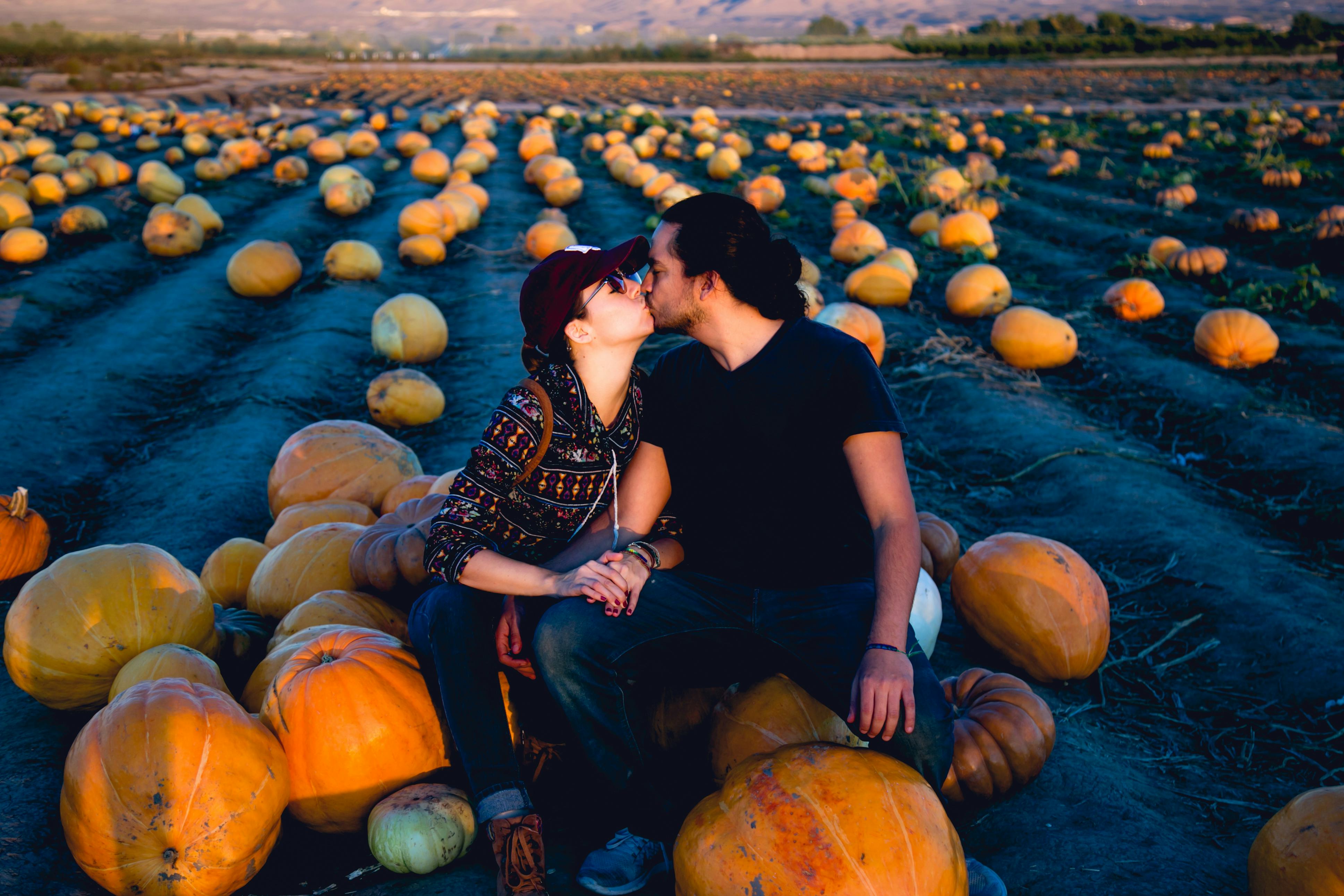 Couple walking in a pumpkin patch