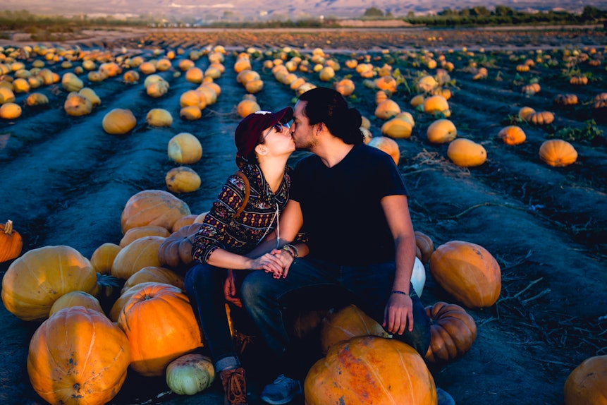 35 Pumpkin Patch Captions For Couples Who Have Fallen For Each Other 