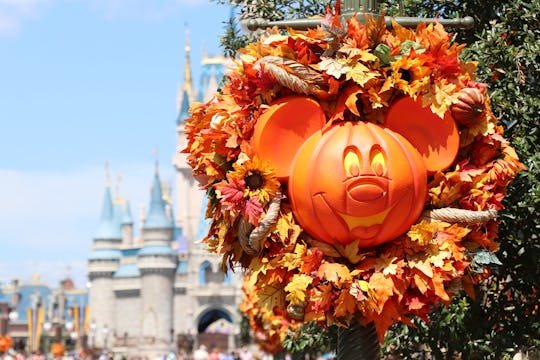 The Disney Store will be holding a Haunted Halloween Party every Saturday and Sunday for the rest of...