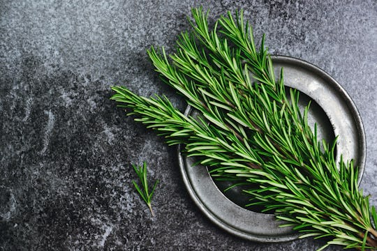 Fresh rosemary herb on the dark background. Top view rosemary