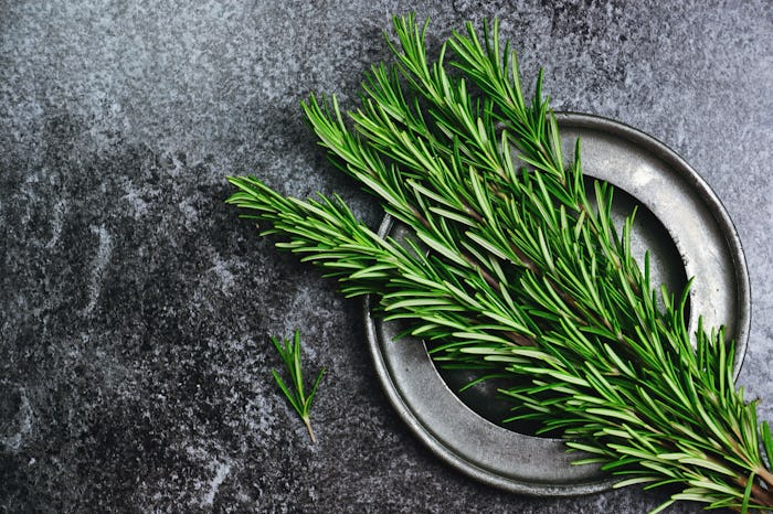 Fresh rosemary herb on the dark background. Top view rosemary