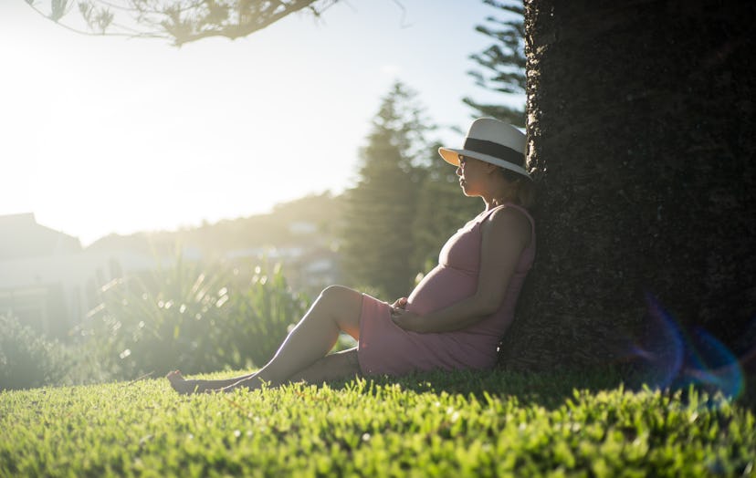 a pregnant woman in pink dress sitting under big tree in warm evening summer