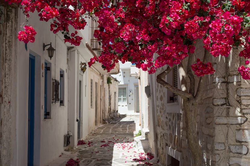 Alley on Samos, Greece