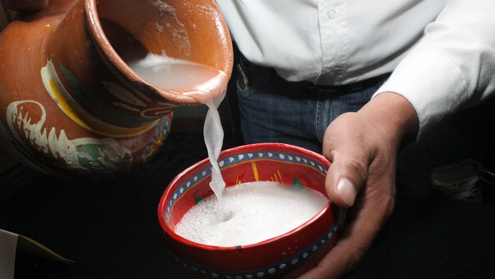 What pulque, Mexico's drink of the gods, actually tastes like