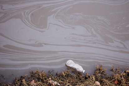 A discarded water bottle floats in a polluted stream.
