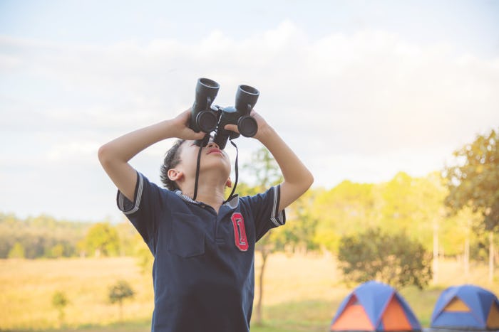 Young asian boy watching birds by binoculars at camping site ,study outside classroom concept.
