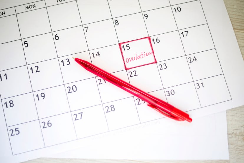 red highlighter with ovulation day mark on calendar, Concept of fertility chart, trying to have baby...