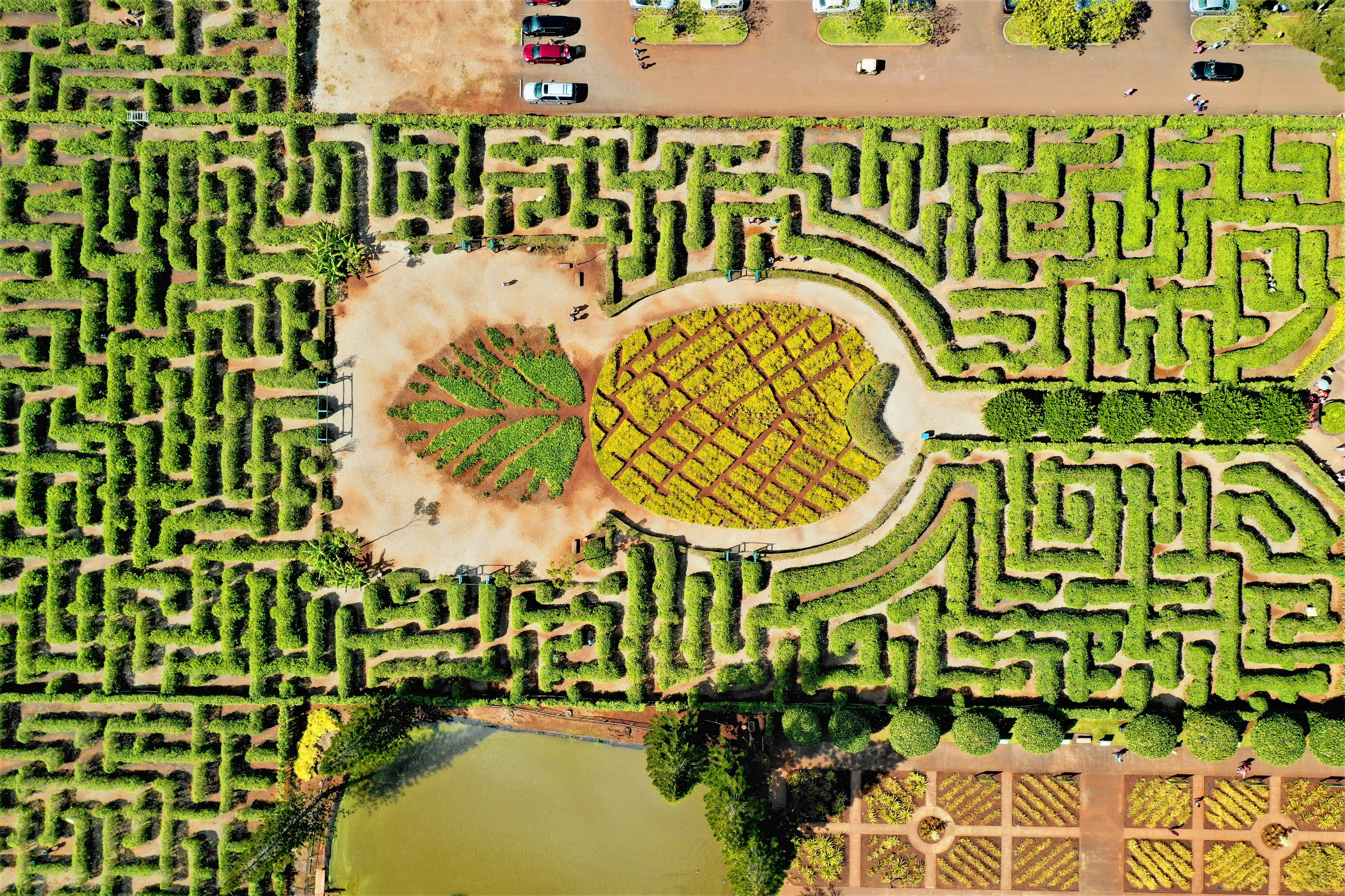 The Dole Plantation On Oahu Has A Pineapple Garden Maze That Ll Up