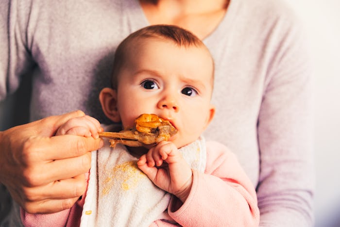 4 month old baby nibbling a chicken leg, tasting his first foods using the method of Baby led weanin...