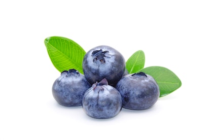 Blueberry : Blueberry isolated on white background. Fresh blueberries with green leaves. 