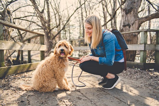 Happy Labradoodle Dog and woman outside at the park