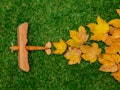 Golden autumn maple leaves and wooden plane on green grass. Above view