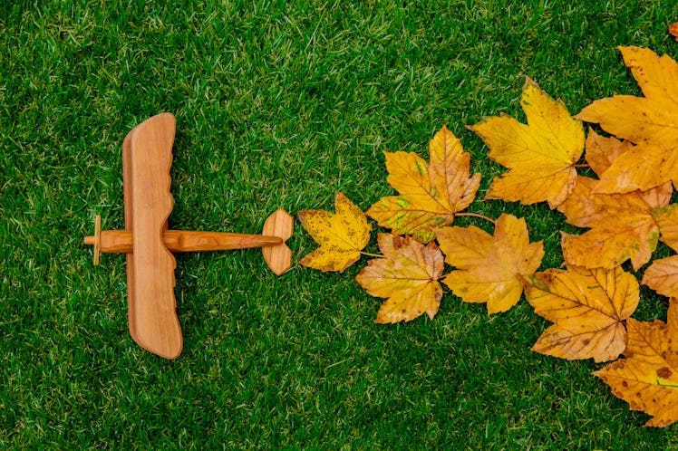 Golden autumn maple leaves and wooden plane on green grass. Above view