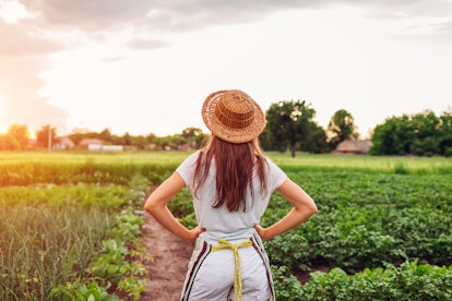 Young woman farmer looking at vegetables on kitchen-garden in countryside. Agriculture and farming c...