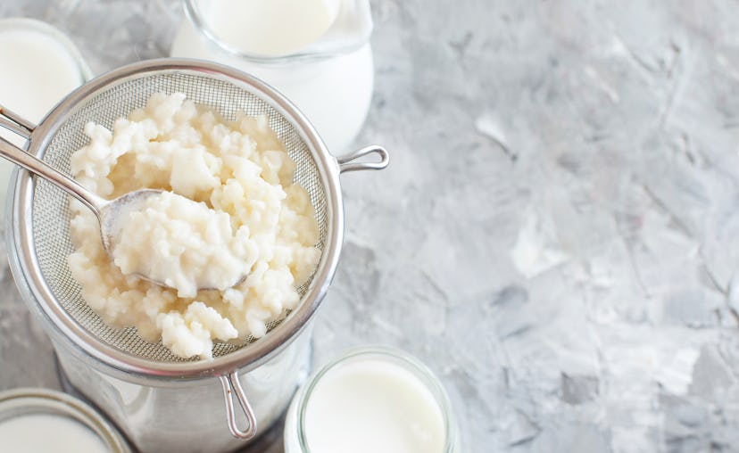 Kefir grains and  fermented drink kefir close up