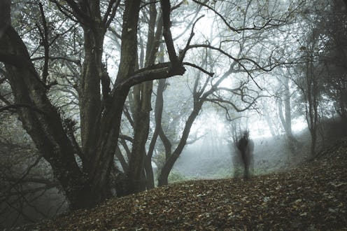 A spooky, ghostly figure on a path in a foggy forest in winter with a dark muted edit.