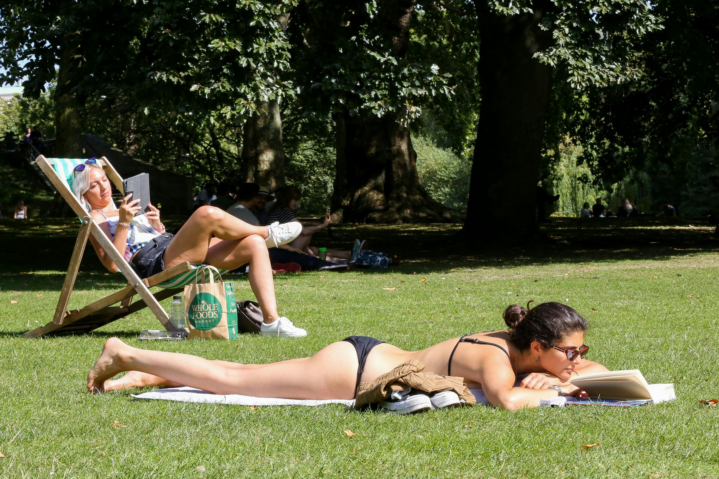 A woman sunbathing in London's St James's Park while reading a book as the hot weather continues