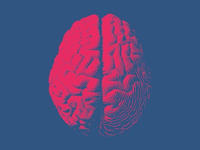 Red engraving brain illustration in top view isolated on blue background