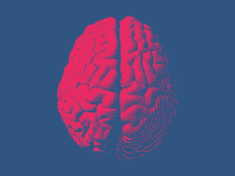 Red engraving brain illustration in top view isolated on blue background