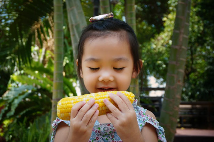 Little girl kid is eating corn.Kid is holding corn.